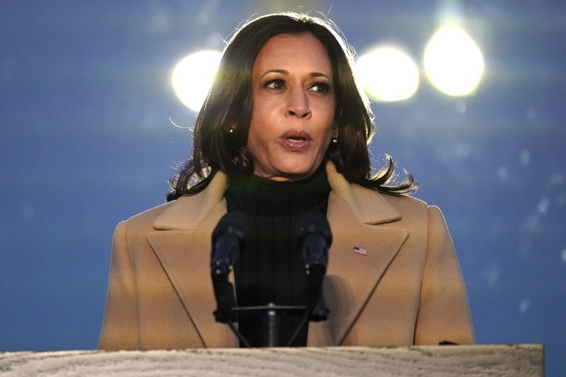 Vice President Harris: A new chapter opens in US politics